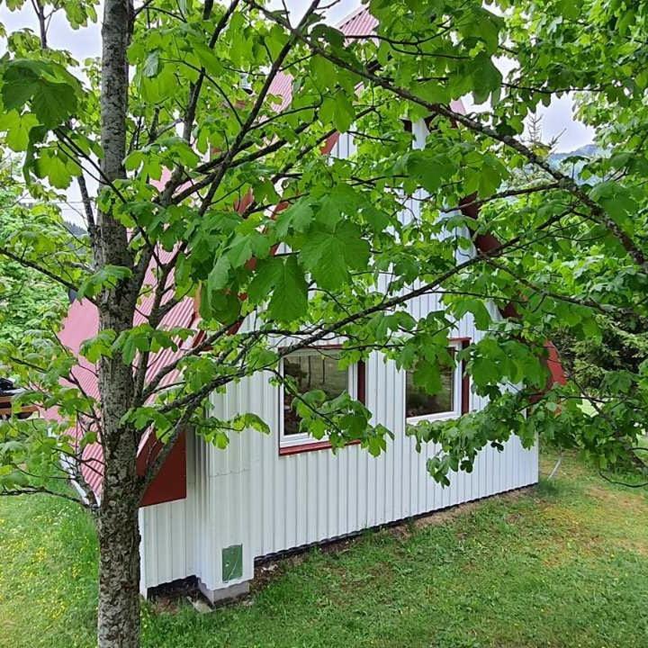 Vila Sarigora Žabljak Eksteriør billede