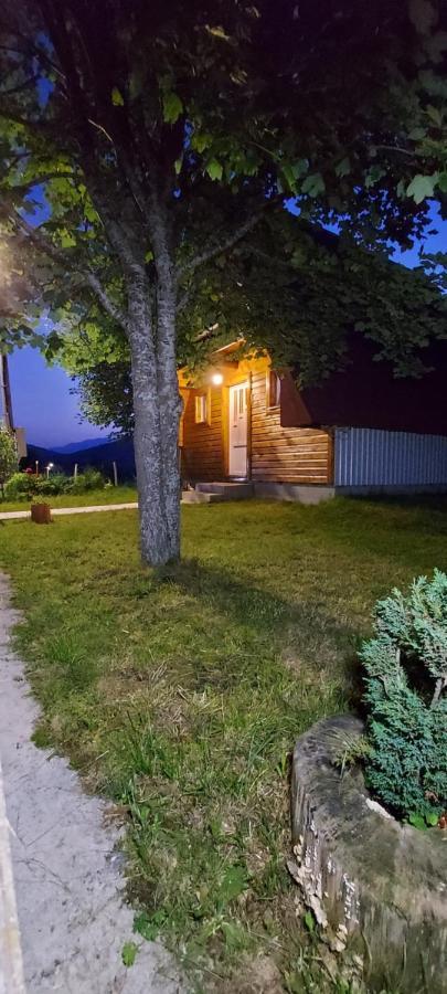 Vila Sarigora Žabljak Eksteriør billede